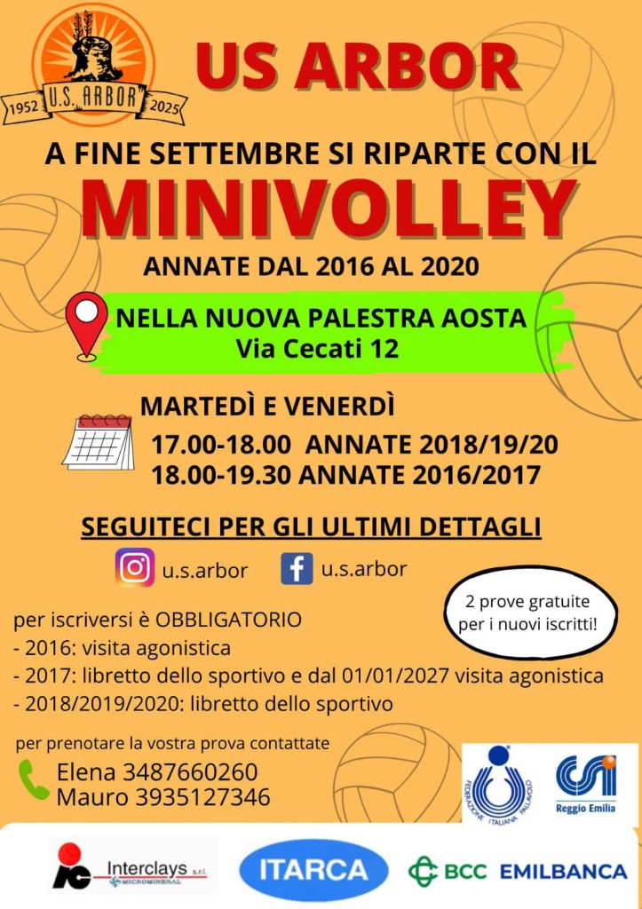 MInivolley